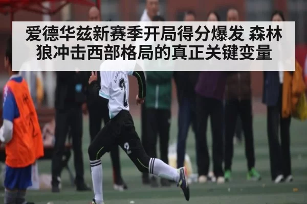 爱德华兹新赛季开局得分爆发 森林狼冲击西部格局的真正关键变量 - jinjibao
